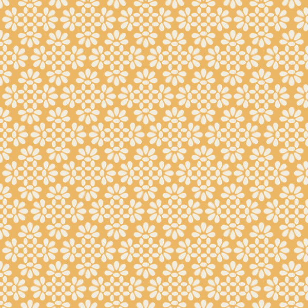 228443
