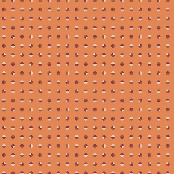 228704