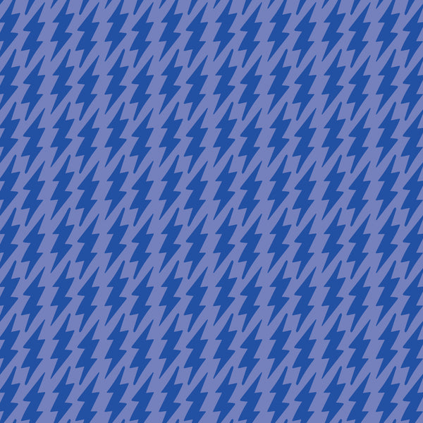 229051