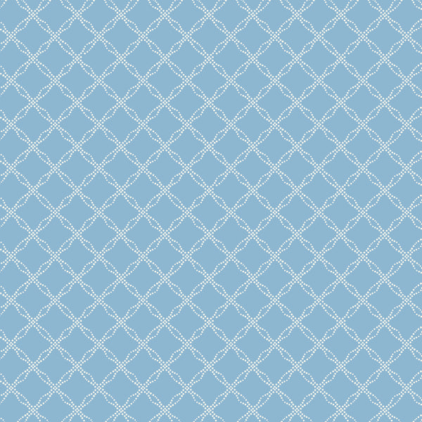 229411