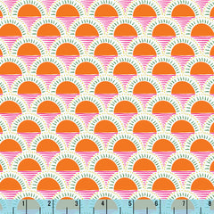 230198