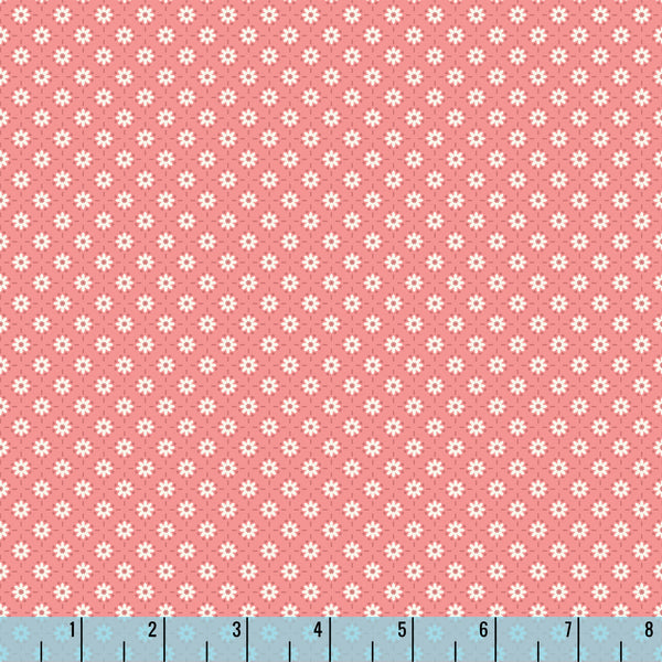 230323