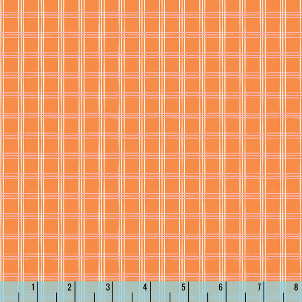 230419